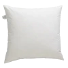 Ellos Innerkudde Med Fjäderfyllning 60x60 Cm -Himla ONLINE ell 1036453 01 Fs