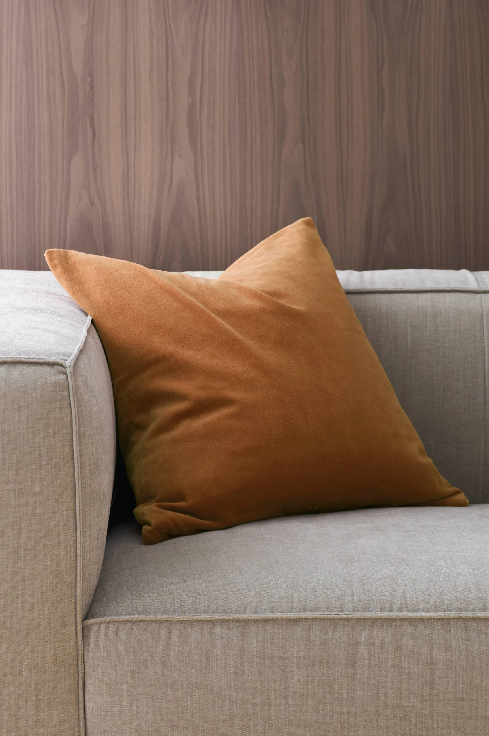 Ellos Kuddfodral Celina I Sammet 50x50 Cm 3 Ellos Kuddfodral Celina I Sammet 50x50 Cm