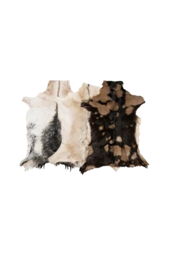 SKINNWILLE Getskinn Goaty